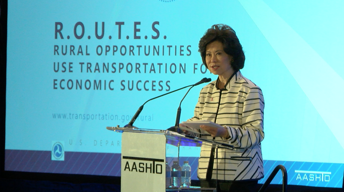 Secretaria de Transporte Elain Chao - Foto Diario Digital USA