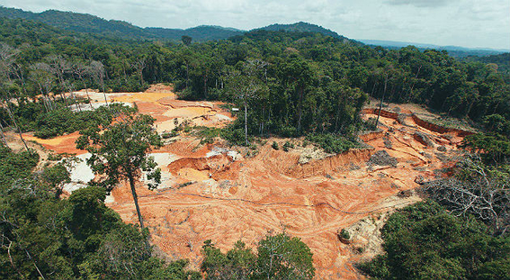Deforestación en selva tropical de Brasil aumentó 64% en abril a pesar del coronavirus